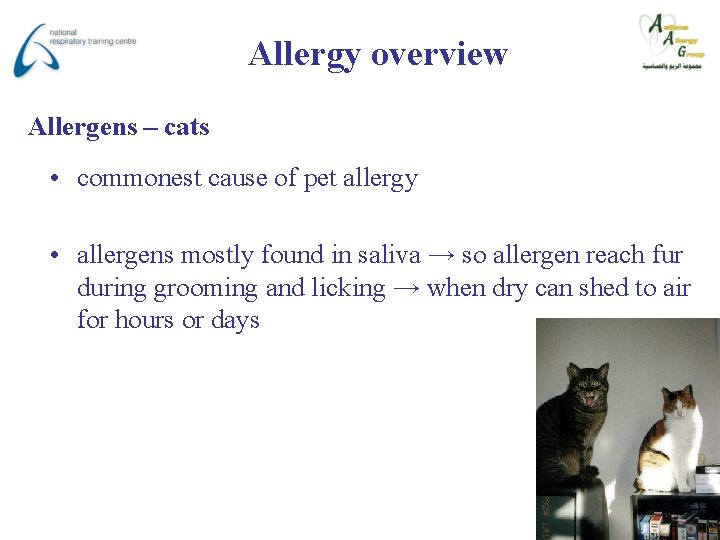 Allergy overview Allergens – cats • commonest cause of pet allergy • allergens mostly