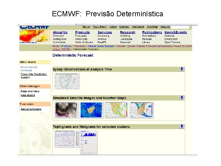 ECMWF: Previsão Determinística 