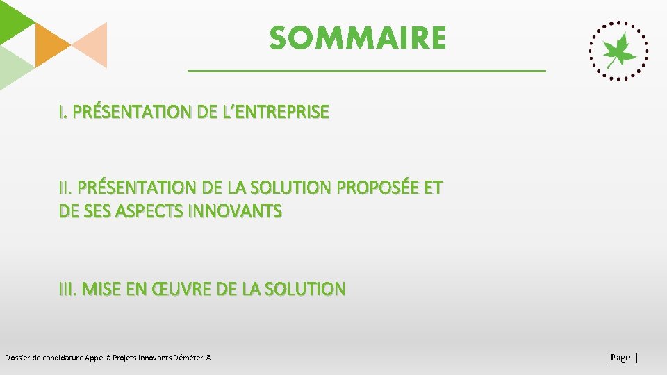 SOMMAIRE I. PRÉSENTATION DE L’ENTREPRISE II. PRÉSENTATION DE LA SOLUTION PROPOSÉE ET DE SES