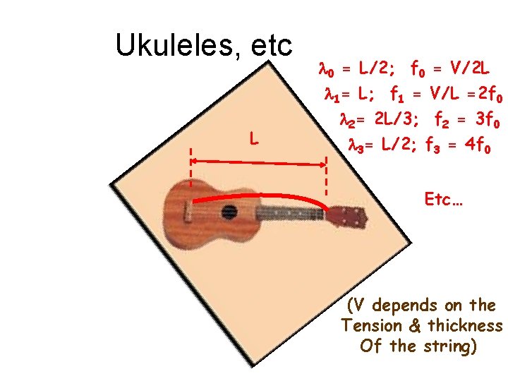 Ukuleles, etc L l 0 = L/2; f 0 = V/2 L l 1=