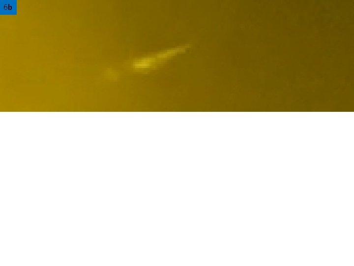 A Tale of Two Tails Distortions in Comet