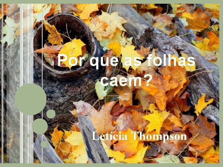 Por que as folhas caem? Letícia Thompson 