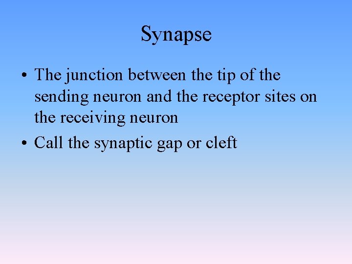Synapse • The junction between the tip of the sending neuron and the receptor