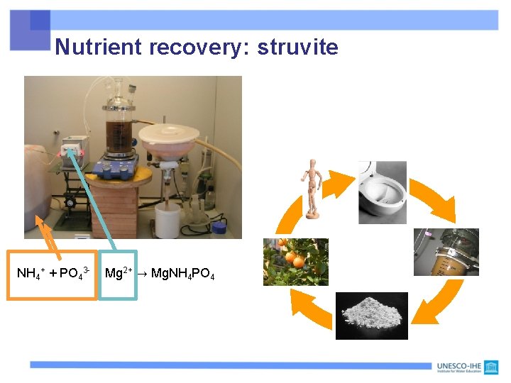 Nutrient recovery: struvite NH 4+ + PO 43 - + Mg 2+ → Mg.