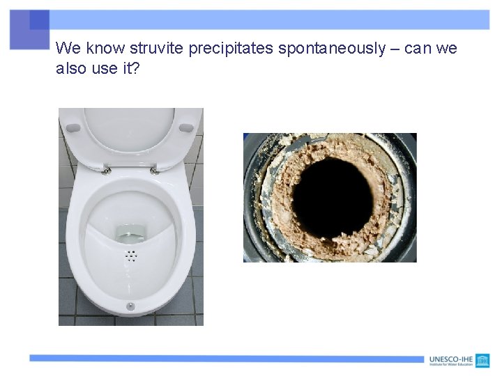 We know struvite precipitates spontaneously – can we also use it? 