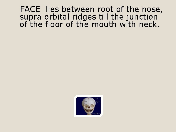 FACE lies between root of the nose, supra orbital ridges till the junction of