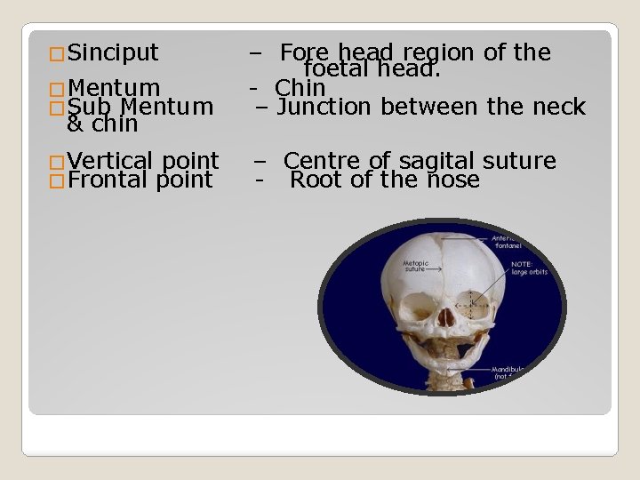 �Sinciput �Mentum �Sub Mentum – Fore head region of the foetal head. - Chin