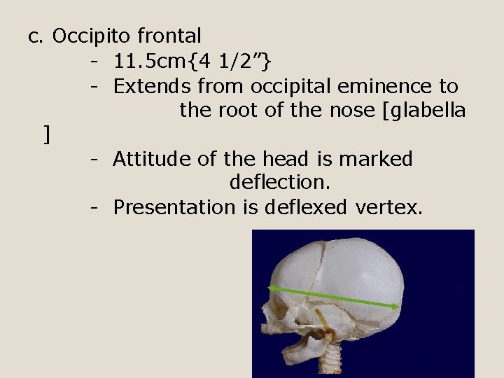 c. Occipito frontal - 11. 5 cm{4 1/2”} - Extends from occipital eminence to