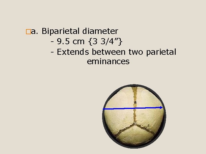 �a. Biparietal diameter - 9. 5 cm {3 3/4”} - Extends between two parietal