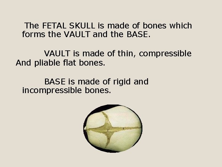 The FETAL SKULL is made of bones which forms the VAULT and the BASE.