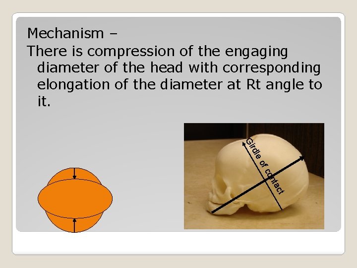 Mechanism – There is compression of the engaging diameter of the head with corresponding