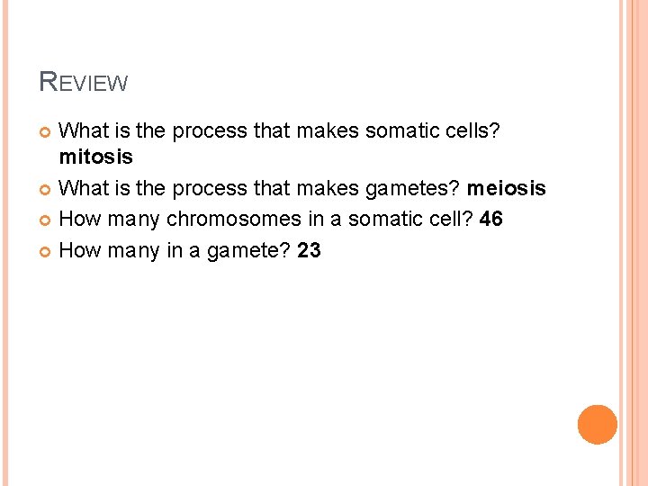 REVIEW What is the process that makes somatic cells? mitosis What is the process