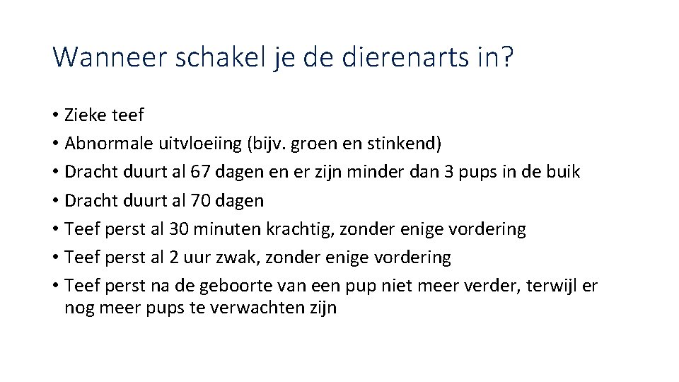 Wanneer schakel je de dierenarts in? • Zieke teef • Abnormale uitvloeiing (bijv. groen