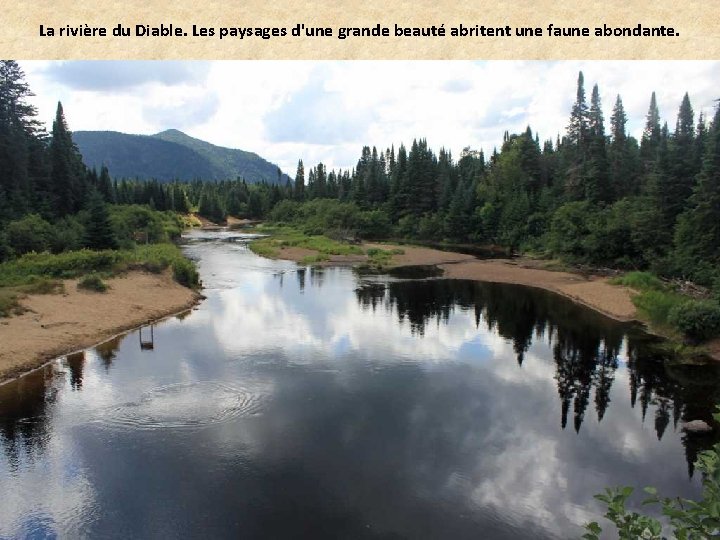 La rivière du Diable. Les paysages d'une grande beauté abritent une faune abondante. 