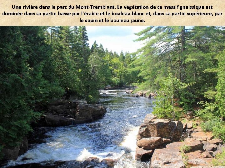 Une rivière dans le parc du Mont-Tremblant. La végétation de ce massif gneissique est