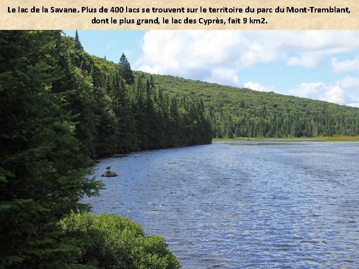 Le lac de la Savane. Plus de 400 lacs se trouvent sur le territoire