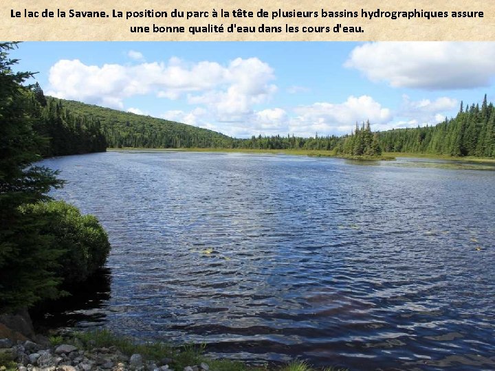 Le lac de la Savane. La position du parc à la tête de plusieurs