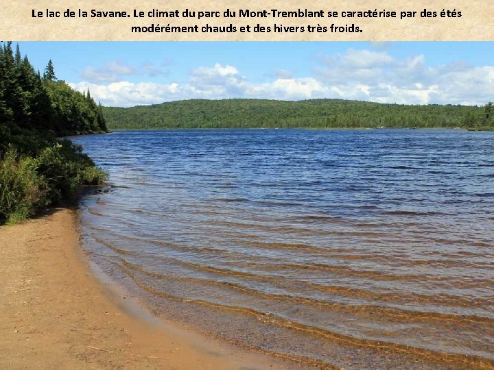 Le lac de la Savane. Le climat du parc du Mont-Tremblant se caractérise par