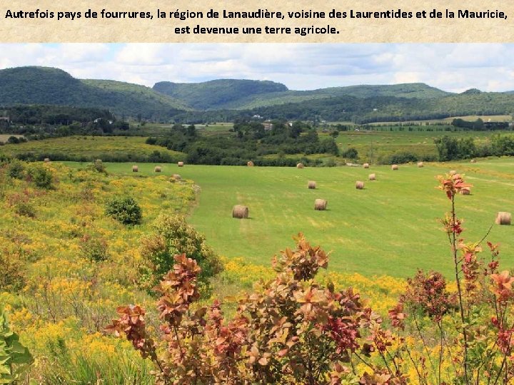Autrefois pays de fourrures, la région de Lanaudière, voisine des Laurentides et de la