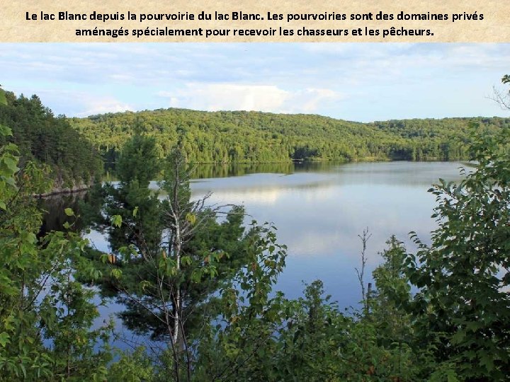 Le lac Blanc depuis la pourvoirie du lac Blanc. Les pourvoiries sont des domaines