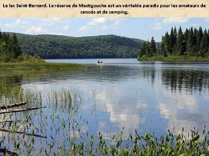 Le lac Saint-Bernard. La réserve de Mastigouche est un véritable paradis pour les amateurs