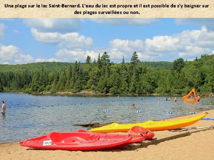 Une plage sur le lac Saint-Bernard. L'eau du lac est propre et il est