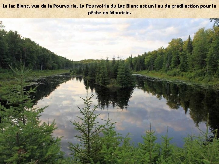 Le lac Blanc, vue de la Pourvoirie. La Pourvoirie du Lac Blanc est un