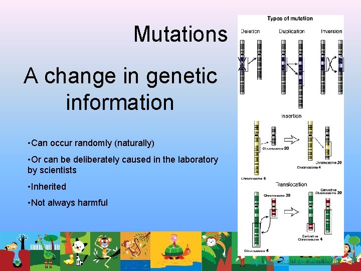 Mutations A change in genetic information • Can occur randomly (naturally) • Or can Mutations A change in genetic information • Can occur randomly (naturally) • Or can