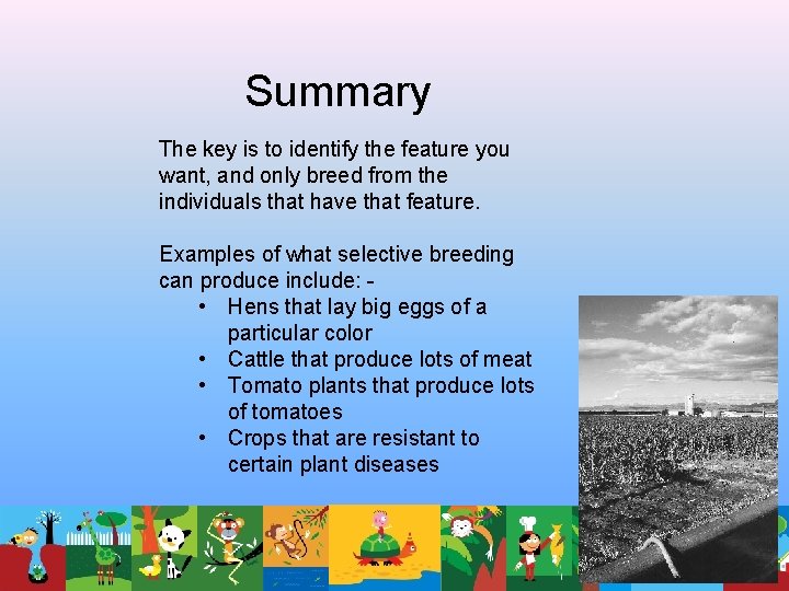 Summary The key is to identify the feature you want, and only breed from Summary The key is to identify the feature you want, and only breed from
