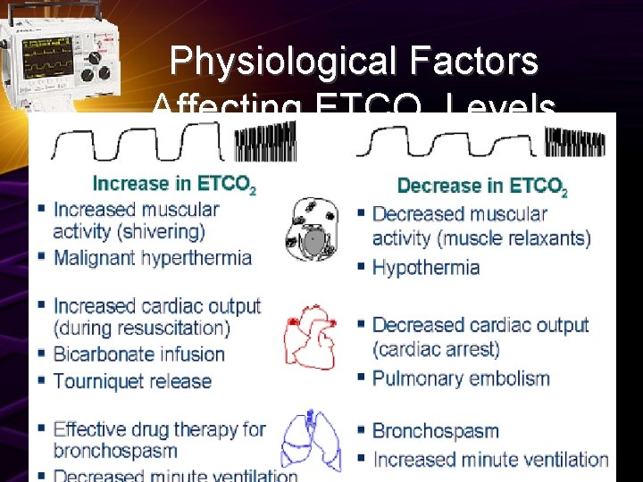 Physiological Factors Affecting ETCO 2 Levels 