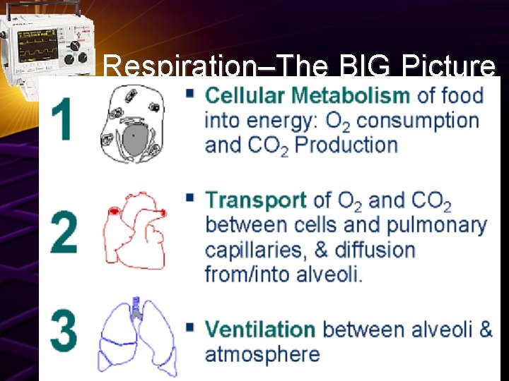 Respiration–The BIG Picture 