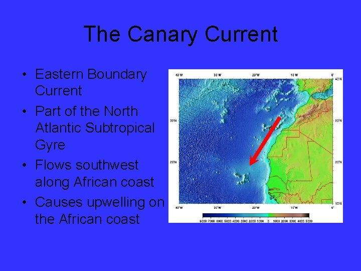 The Canary Current • Eastern Boundary Current • Part of the North Atlantic Subtropical