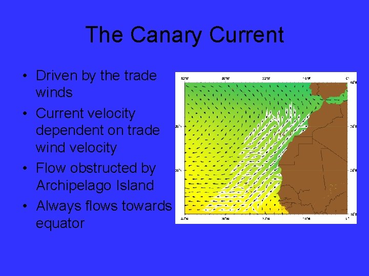 The Canary Current • Driven by the trade winds • Current velocity dependent on