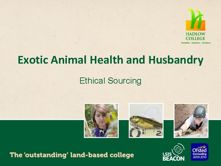 Exotic Animal Health and Husbandry Ethical Sourcing 