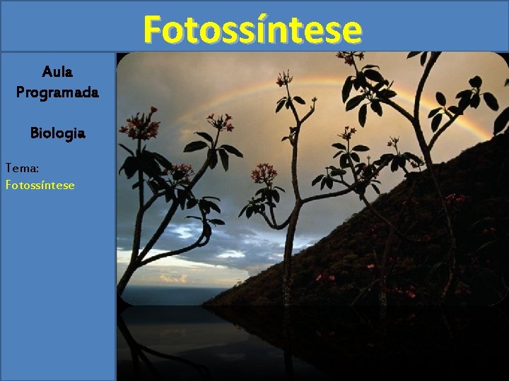 Fotossíntese Aula Programada Biologia Tema: Fotossíntese 