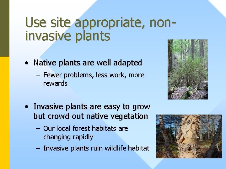 Use site appropriate, noninvasive plants • Native plants are well adapted – Fewer problems,