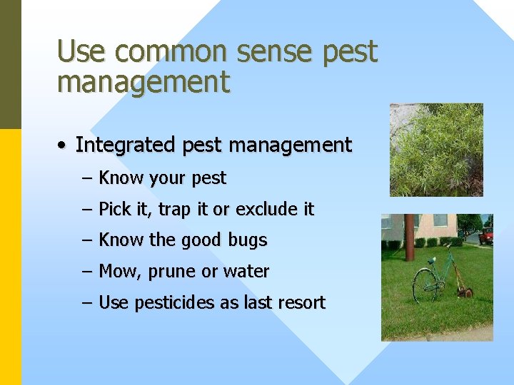 Use common sense pest management • Integrated pest management – Know your pest –