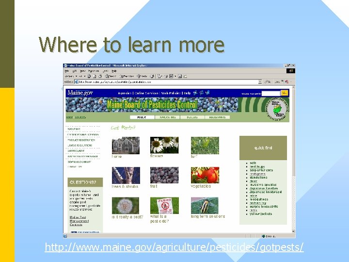 Where to learn more http: //www. maine. gov/agriculture/pesticides/gotpests/ 