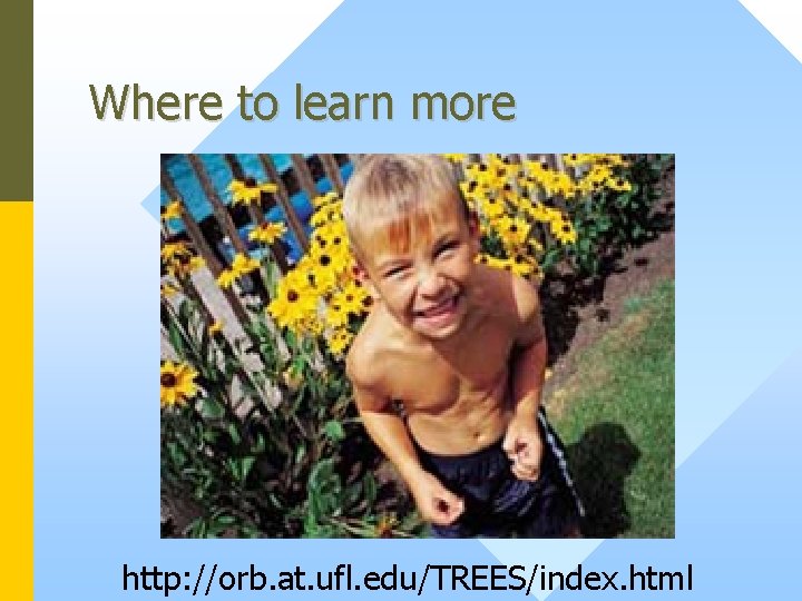 Where to learn more http: //orb. at. ufl. edu/TREES/index. html 