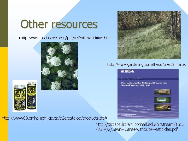 Other resources • http: //www. hort. uconn. edu/ipm/turf/htms/turfman. htm http: //www. gardening. cornell. edu/lawn/almanac