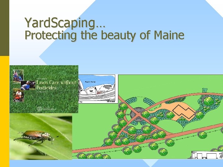 Yard. Scaping… Protecting the beauty of Maine 