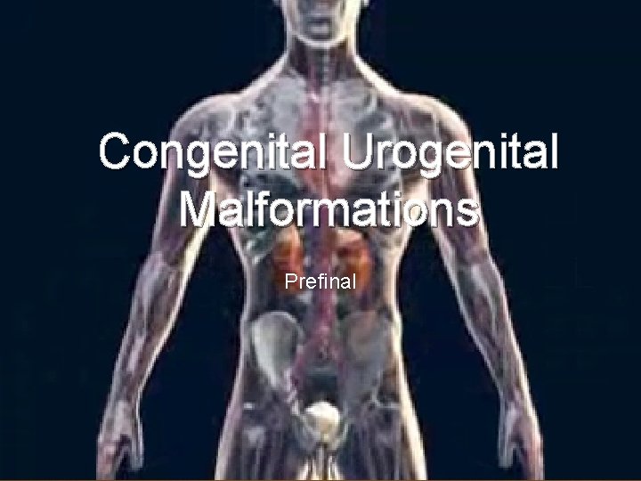 Congenital Urogenital Malformations Prefinal 