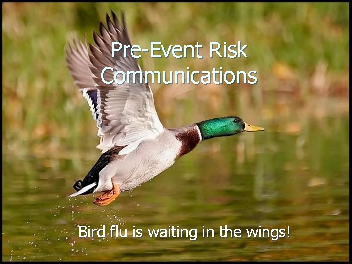 Pre-Event Risk Communications Bird flu is waiting in the wings! 