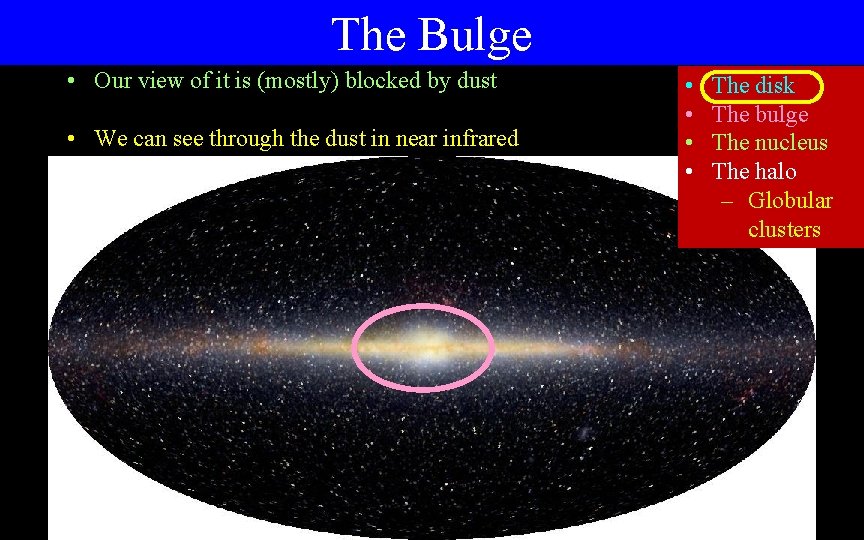 The Bulge • Our view of it is (mostly) blocked by dust • We