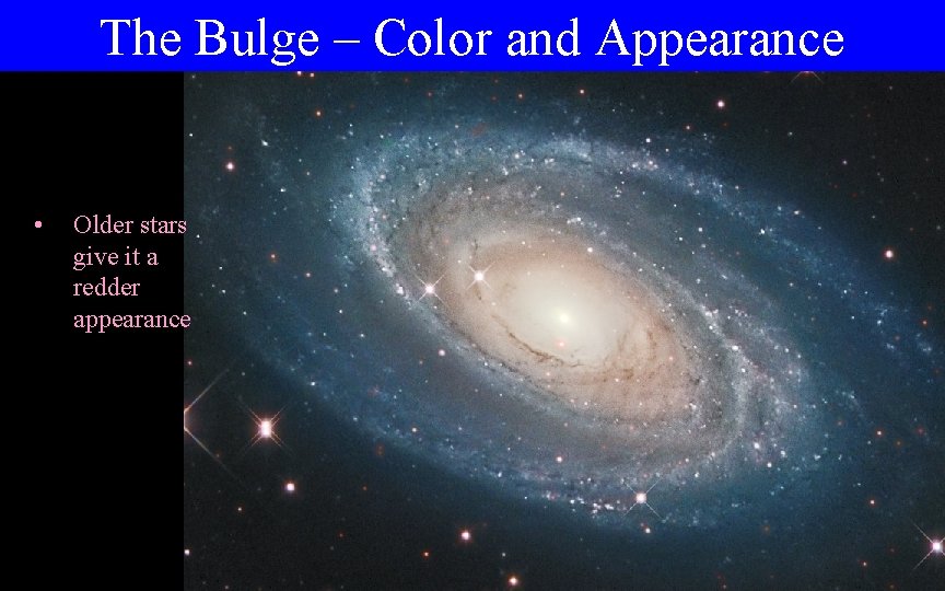 The Bulge – Color and Appearance • Older stars give it a redder appearance
