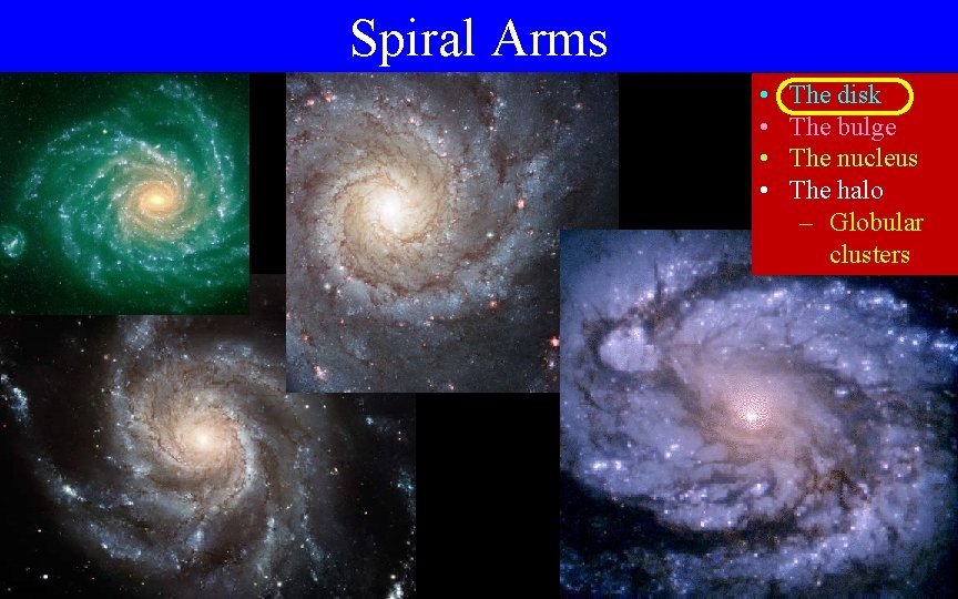 Spiral Arms • • The disk The bulge The nucleus The halo – Globular