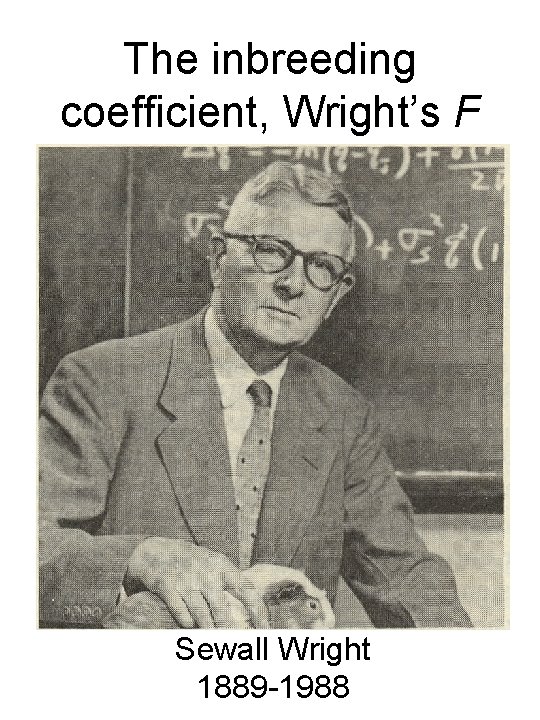 The inbreeding coefficient, Wright’s F Sewall Wright 1889 -1988 
