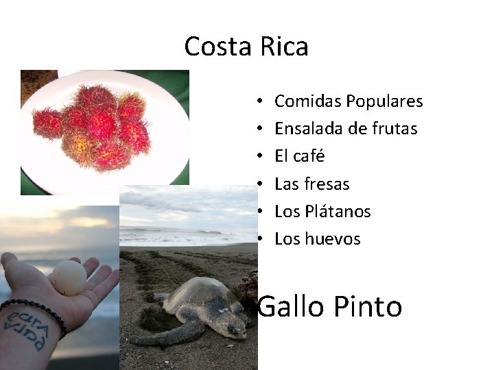 Costa Rica • • • Comidas Populares Ensalada de frutas El café Las fresas