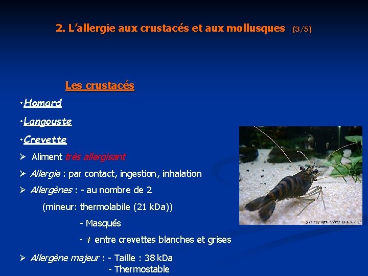 2. L’allergie aux crustacés et aux mollusques Les crustacés • Homard • Langouste •