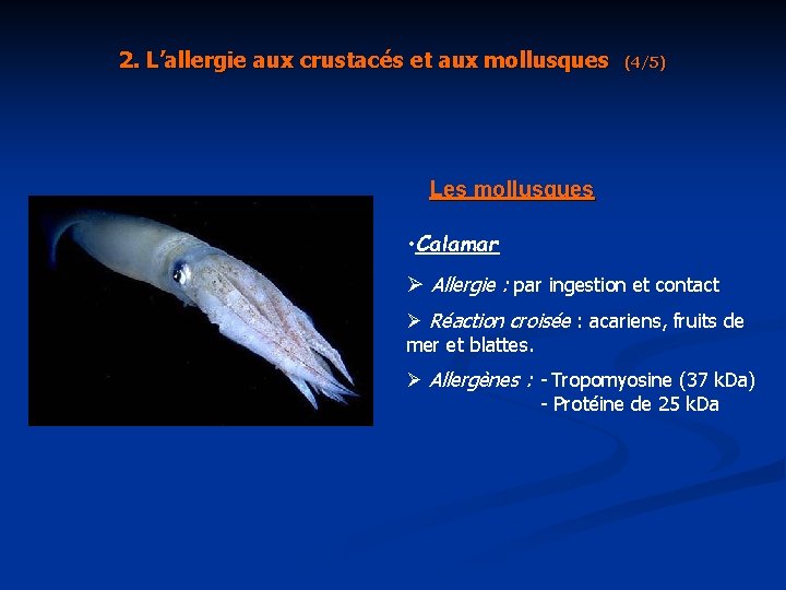 2. L’allergie aux crustacés et aux mollusques (4/5) Les mollusques • Calamar Ø Allergie